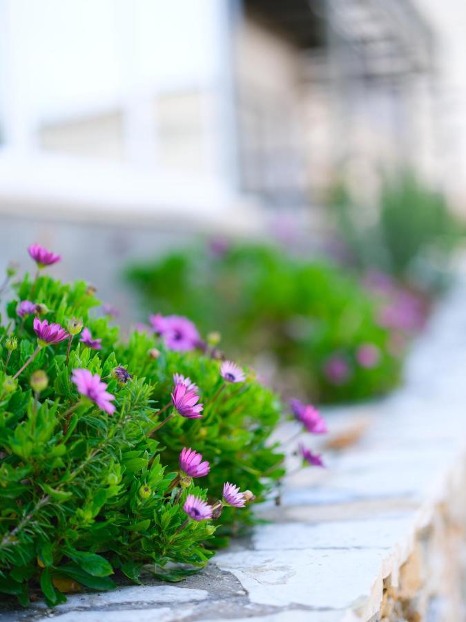 Sunset House Apartment Vlore Luaran gambar